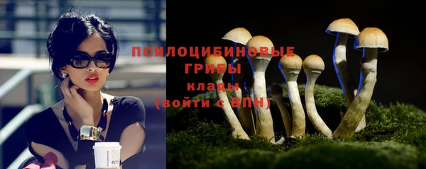 СК Михайлов