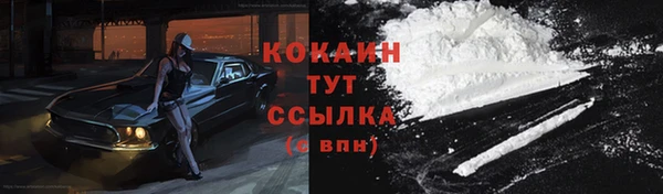 тгк Медногорск