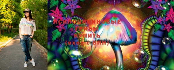 a pvp Медвежьегорск