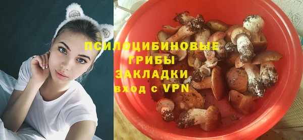 метадон Билибино