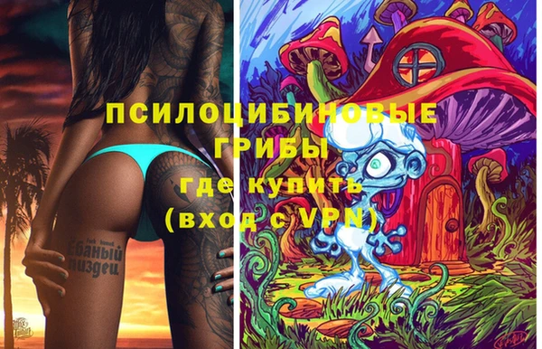 тгк Медногорск