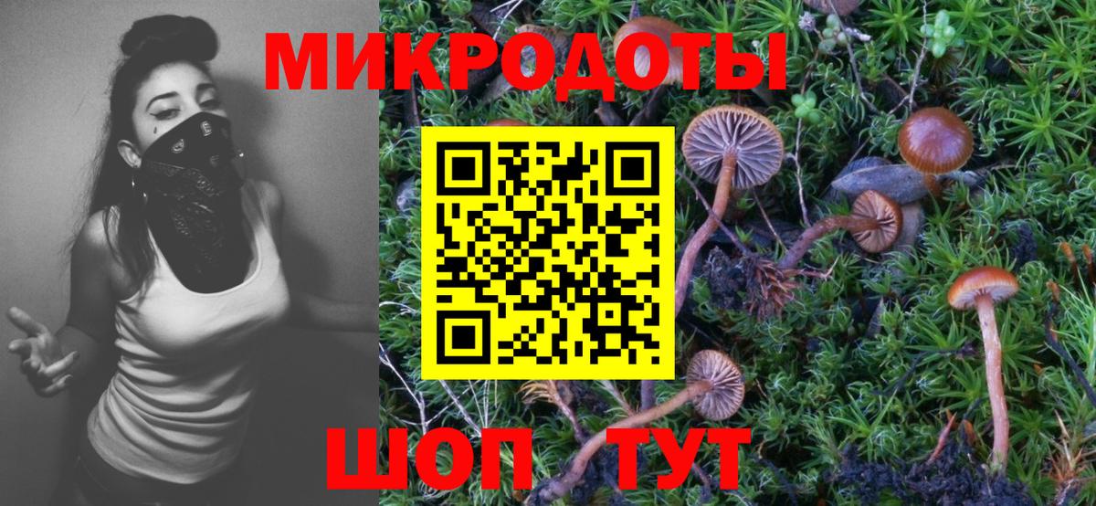 Галлюциногенные грибы MAGIC MUSHROOMS  Галлюциногенные грибы прущие грибы  дарнет шоп  Сургут  Вход с VPN 
