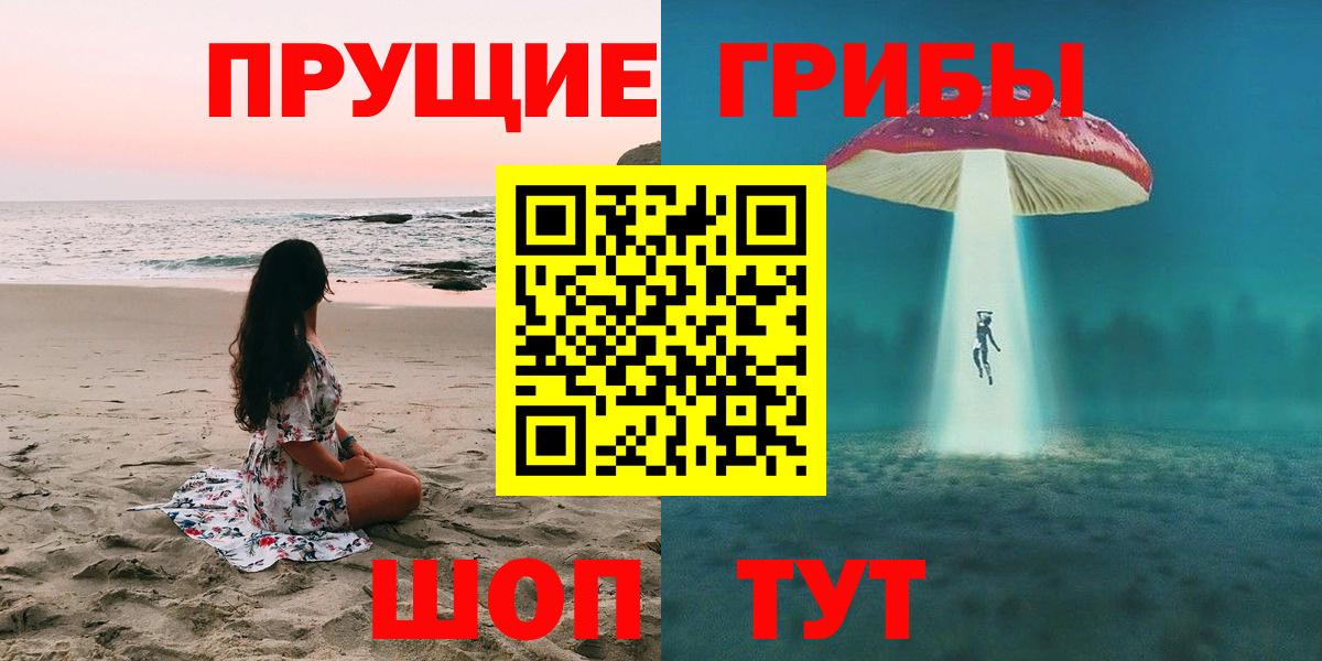 Галлюциногенные грибы Psilocybine cubensis Сургут