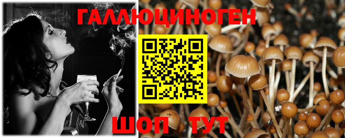 Псилоцибиновые грибы Psilocybe  Галлюциногенные грибы Psilocybine cubensis  Сургут 