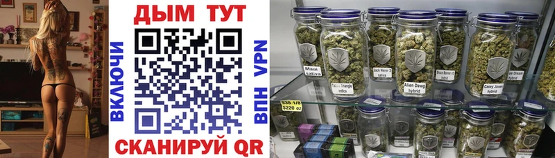 Конопля Ganja  Сургут 